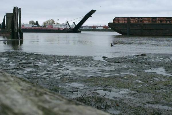 Foreshoresession1