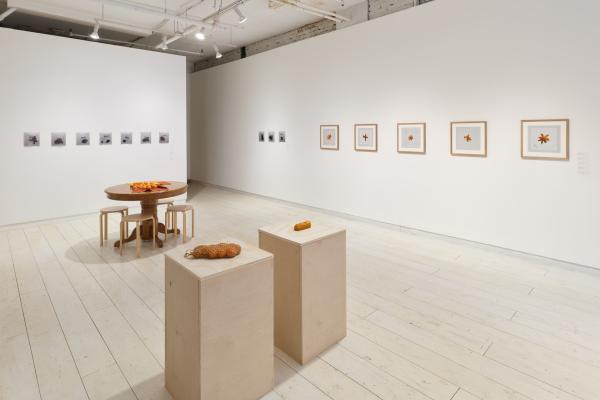 A three-quarter view of the gallery in which we can see two gallery walls, a kitchen table, and two plinths. To the left, we see a row of seven small black and white photos, unframed. On the right, we see three more of the same, and a row of five framed photographs of hankerchiefs. In the centre of the room, there is a kitchen table, on which lay two Bojagi (traditional Korean wrapping cloths) and a number of tangerines. to the right, two low birch plinths, on which there are two nets filled with tangerines