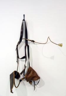 Mike Bourschied, Der Hammel von Kouver: Introducing Myself To The Geese, 2012.