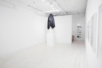 Installation views from Far Away So Close, Part II: Kathleen Ritter and Guillermo Trejo, Access Gallery, 2015. Photodocumentation Guillermo Trejo.