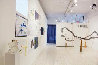 Installation views of Field Studies: Exercises in a Living Landscape (Access Gallery, 2015). 
