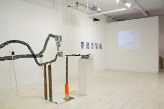 Installation views of Field Studies: Exercises in a Living Landscape (Access Gallery, 2015). 