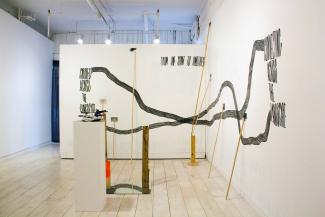 Installation views of Field Studies: Exercises in a Living Landscape (Access Gallery, 2015). 
