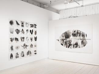 carbon study: walking in the dark by Genevieve Robertson