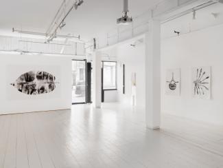 Installation view of charcoal drawings on the gallery walls
