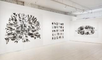 carbon study: walking in the dark by Genevieve Robertson