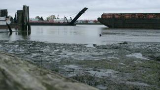 Foreshoresession1