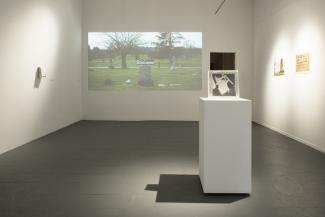[L-R] Christian Vistan, WAWAWALK, pamphlets, 2013-15. Fernanda Gutierrez, Still Life, 8min projection, 2015. Felix Rapp, Gravidity, 16"x20" photograph printed on  Japanese rice papersuspended in transparent gelatine cast, 2015. Rikke Goldbech, This Is Now My Land, rocks, photographs & poem, 2014. Avenue.