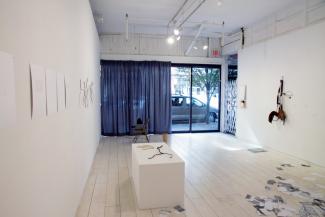 Installation View.