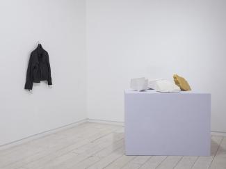 Installation views of Laura Piasta: Sounding the Ultraviolet (Access Gallery, 2015-16). Photodocumentation: Laura Piasta.
