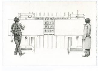 auction_angus