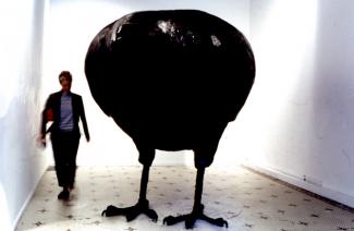 bigcrow010
