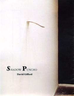 davidgifford_shadowpuncho02