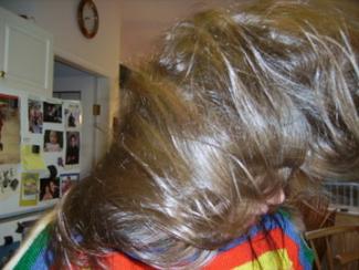 heidi-hair-flash-2007