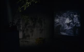 hittingthewall003
