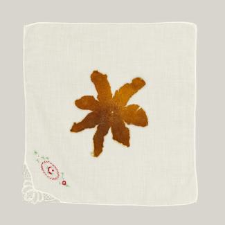 top view of a tangerine peel splayed open on a white handkerchief, the bottom left corner of which is embroidered and trimmed in lace.