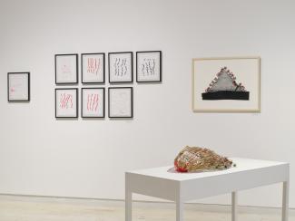 A woven basket made from dried flowers, grass, thread, and paper. It lies on its side on a white table in the foreground. In the background there are many framed works, some of which are weavings and some are handmade paper with thread embedded in. 