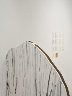 Detail shot of 'incarnated sediments' by Tiffany Law.