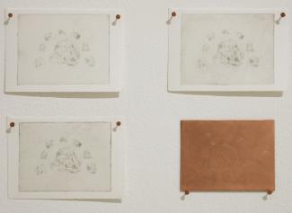 Detail shot of 'printing a rock is an archive of its loss' by Tiffany Law.