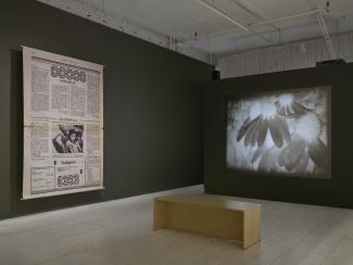 One newspaper enlargement stretches from floor to ceiling, while a video projection on the other wall shows Super 8 footage of a flower in bloom. 